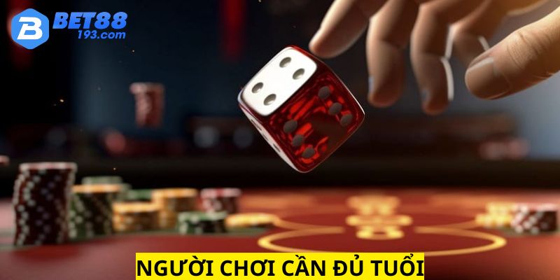 Khách hàng cần đủ 18 tuổi mới được tham gia chơi game 