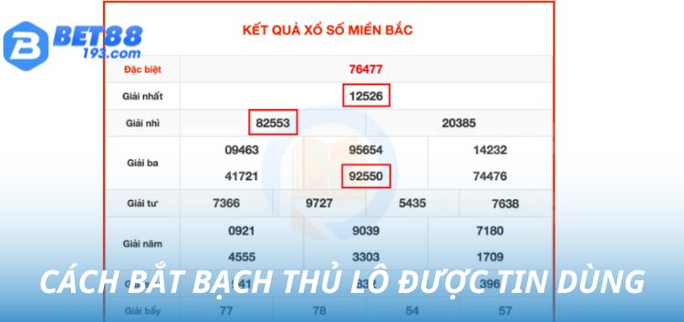 Cách bắt bạch thủ lô thường được tin dùng