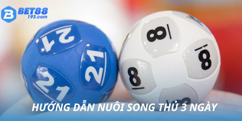 Hướng dẫn nuôi song thủ trong 3 ngày