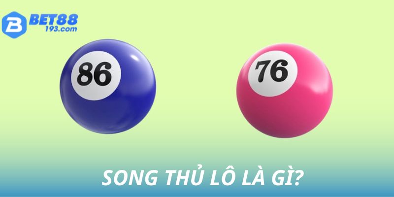 song-thu-lo-la-gi-bet88